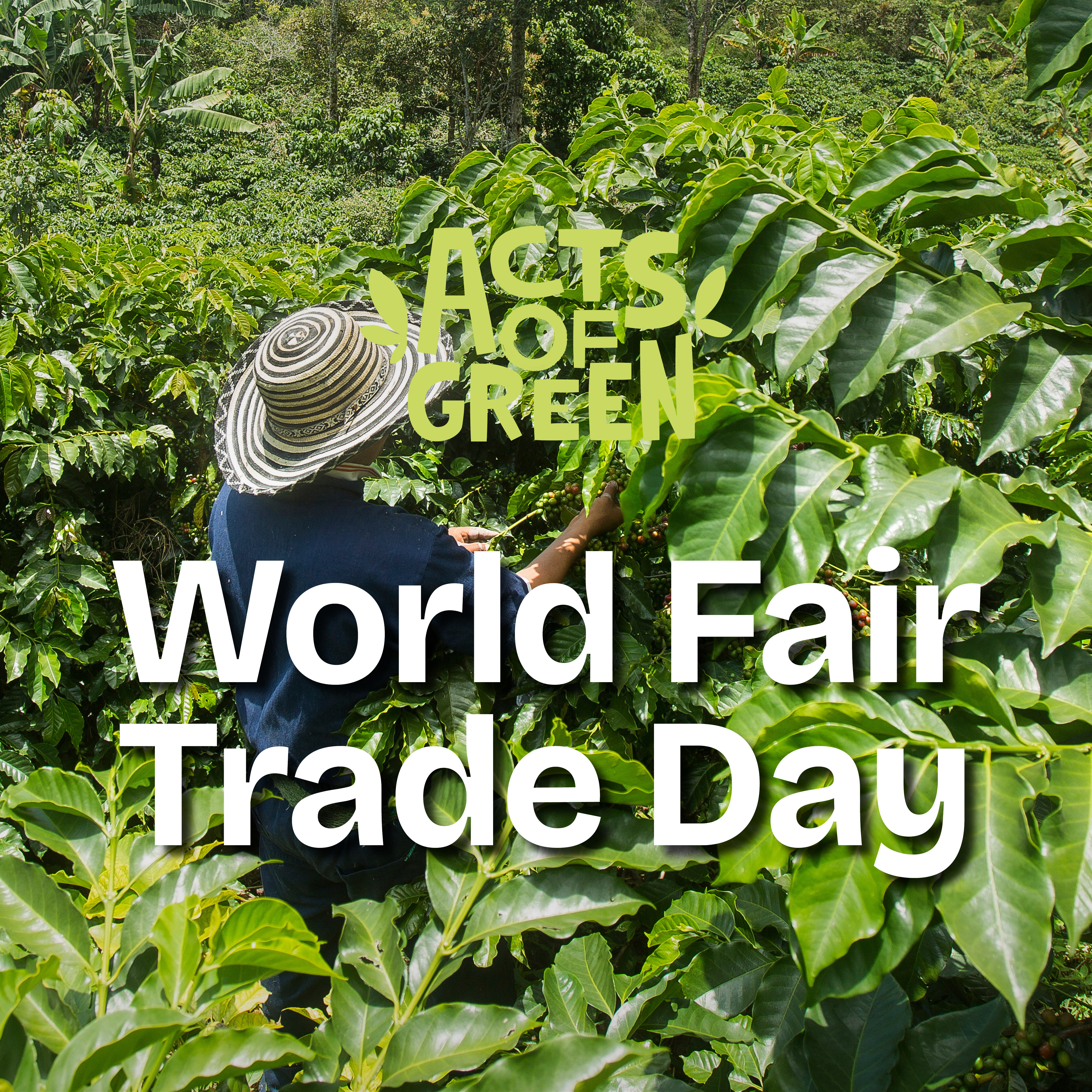 alt visuel custom AoG World Fair Trade Day 